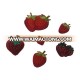 Strawberry Design Fashion DIY Custom China Embroidery Patches For Clothing